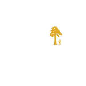 Sequoia Films Company